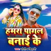 About Hamra Pagal Banai Ke Song